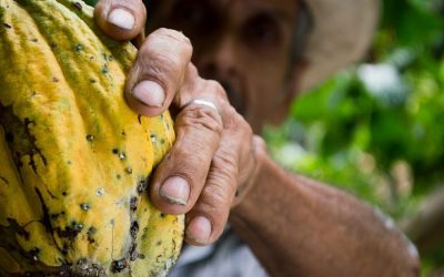 Why use a local travel agency in Colombia?