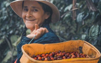 Our finest gastronomic experiences