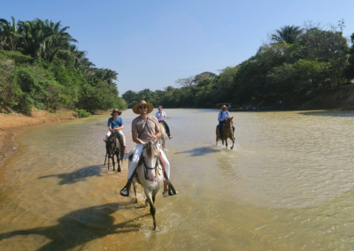 Safari Llanero to Guanapalo