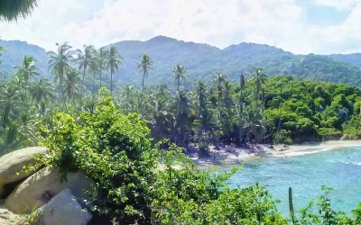 Tayrona National Park: everything you need to know before you go