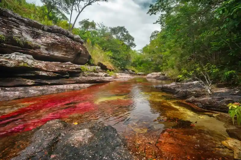 Caño Cristales: everything you need to know before visiting the five-coloured river